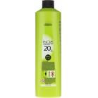 L'oreal Professionnel Oxidant Inoa Oxydant Mix 1+1 6 %,1000ml