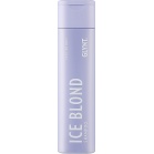 Glynt Шампунь для волос, нейтрализующий желтизну Ice Blond Shampoo 250мл Glynt Шампунь для волос, нейтрализующий желтизну Ice Blond Shampoo 250мл