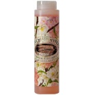 Nesti Dante Shower gel Rome Shower Gel Dolce Vivere Roma 300ml
