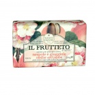 Nesti Dante Soap Mushmula and Marmalade Il Frutteto olivo e mandarino olive and tangerine 250 g Nesti Dante Soap Mushmula and Marmalade Il Frutteto olivo e mandarino olive and tangerine 250 g